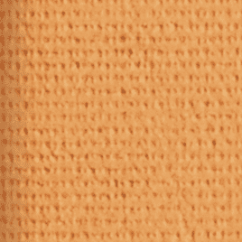 335 Perfect Beige
