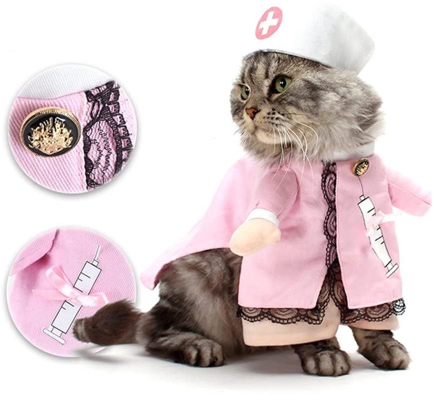 cat in nurse outfit