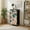 Color-1, variant on 4 Drawer Vertical Storage Dresser Ocean Beach Coastal Seascape Mint Green Tropical Turquoise Palm Tree with Wood Top Fabric Pull Drawers