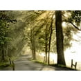thumbnail image 2 of Head, Danny 32x25 White Modern Wood Framed Museum Art Print Titled - Fresh Morning II, 2 of 4