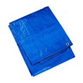 thumbnail image 1 of Lonas Now Lona de plástico resistente de 50 x 50 pies - Lona de polietileno azul Cubierta impermeable de 6 mil con ojales de aluminio Bordes reforzados Polietileno resistente a desgarros para camping, 1 of 5