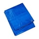 thumbnail image 1 of Lonas Now Lona de plástico resistente de 50 x 50 pies - Lona de polietileno azul Cubierta impermeable de 6 mil con ojales de aluminio Bordes reforzados Polietileno resistente a desgarros para camping, 1 of 5