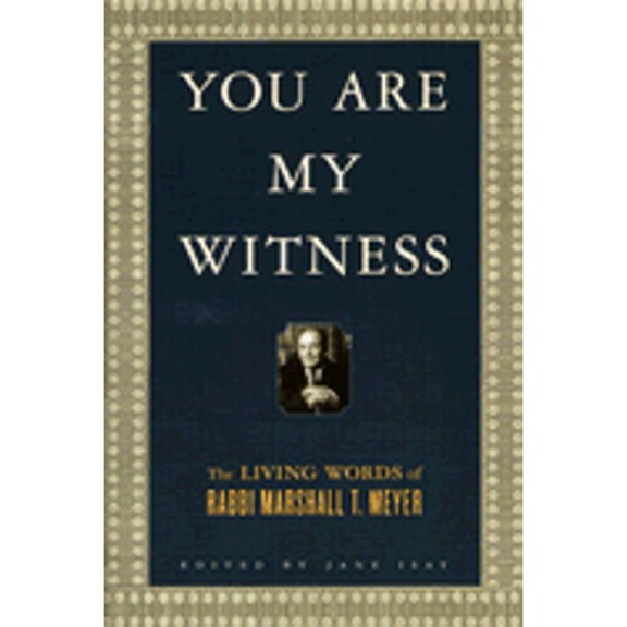 Pre-Owned You Are My Witness: The Living Words of Rabbi Marshall T. Meyer (Hardcover) 0312328079 9780312328078