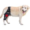thumbnail image 1 of Rodillera para perros Yuxing de neopreno transpirable para ligamento cruzado anterior, 1 of 5
