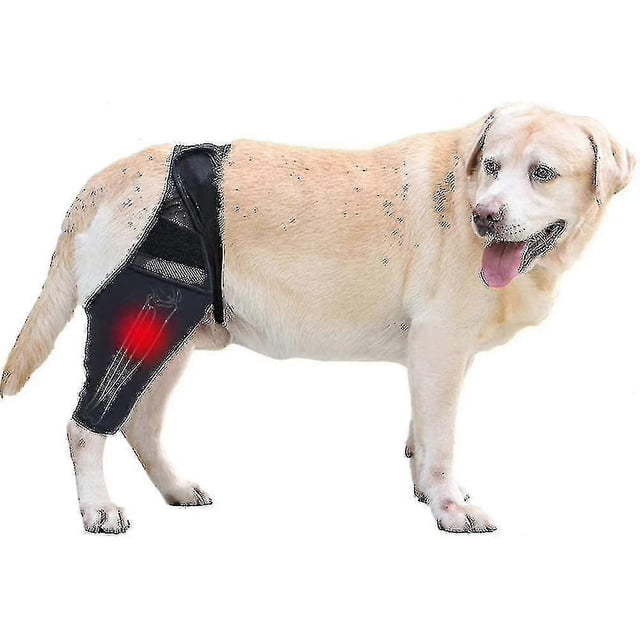 Rodillera para perros Yuxing de neopreno transpirable para ligamento cruzado anterior