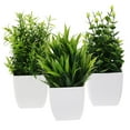 thumbnail image 1 of 3pcs Small Fake Plants Mini Artificial Plants with Plants Home Office Fake Potted Plant Mixed Style, 1 of 8
