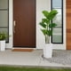 thumbnail image 5 of QinaQin Árbol artificial tipo platanera con maceta blanca alta, planta tropical decorativa ideal para sala, entrada, terraza u oficina, 5 of 7