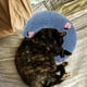 thumbnail image 1 of Almohada para el cuello para mascotas, cojín de entrenamiento para abrazar, juguetes interactivos cómodos, juguete para masticar, almohada para dormir Azul Colco Almohada de mascotas, 1 of 7