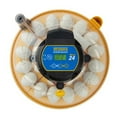 thumbnail image 3 of Maxi 24 Advance Automatic Egg Incubator, 3 of 3