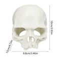 thumbnail image 3 of Cififendec Halloween Aquarium Skull Ornament, 3.93"×3.46", Plastic Hideout Cave for Fish Tank Reptile Terrarium Turtle Lizard Shrimp Hiding Decor, 3 of 6