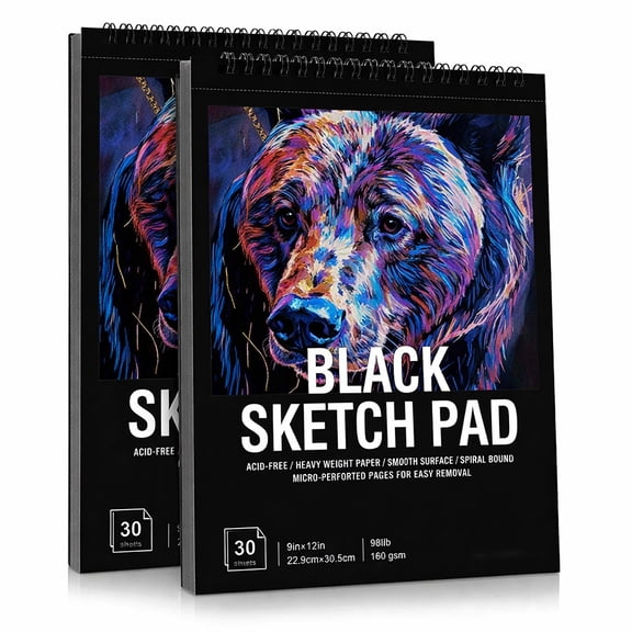 2 Pack Black Paper Sketchbook, 98lb/160gsm Heavyweight Black Sketch Pad 9×12in, Acid-Free Drawing Paper, Spiral Bound Sketch Book for Teens, Artist