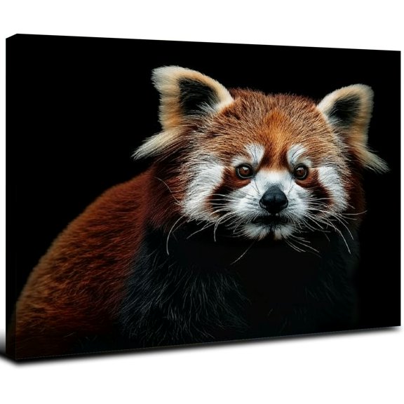 JRXY Canvas Wall Art Red Panda Poster Pictures Wall Decor Animal Prints PrintingFor Living RoomBedroom Office With Framed 20x16inch
