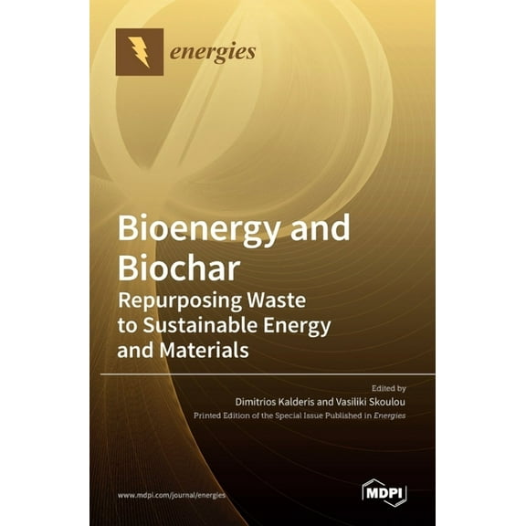 Bioenergy and Biochar : Repurposing Waste to Sustainable Energy and Materials (Hardcover)