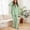 Green, variant on Womens Pajama Sets Fashion Solid Color Lace Sleepwear with Pants Summer Collared Long Sleeve Pajamas Summer Pjs for Women