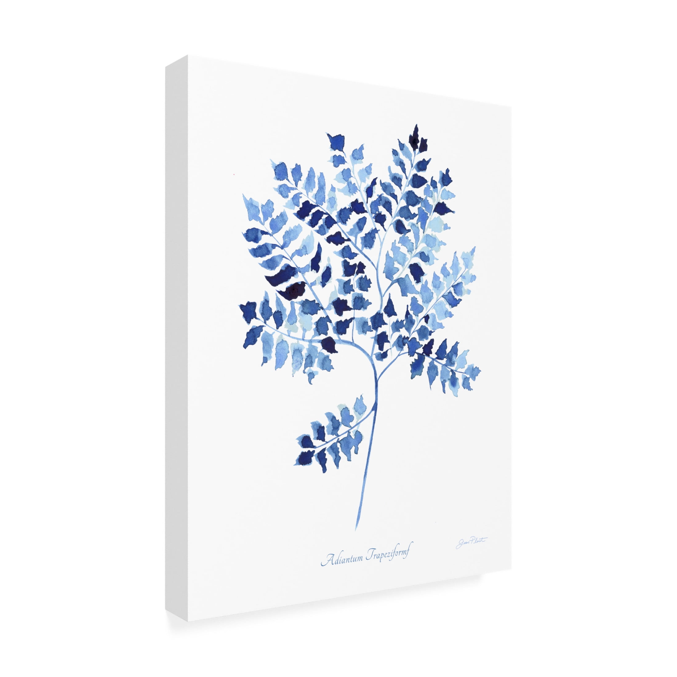Canvas Wall Art - Jean Plout 'Indigo Botanical 12' Wall Art for Living Room, Bedroom, or Office Décor by Trademark Fine Art - 14 x 19 Inches