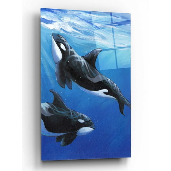 Epic Art 'Under Sea Whales II' by Tim O'Toole, Acrylic Glass Wall Art, 12"x16"