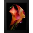thumbnail image 2 of Kinney, Jon 19x24 Black Modern Framed Museum Art Print Titled - Tenderness, 2 of 5