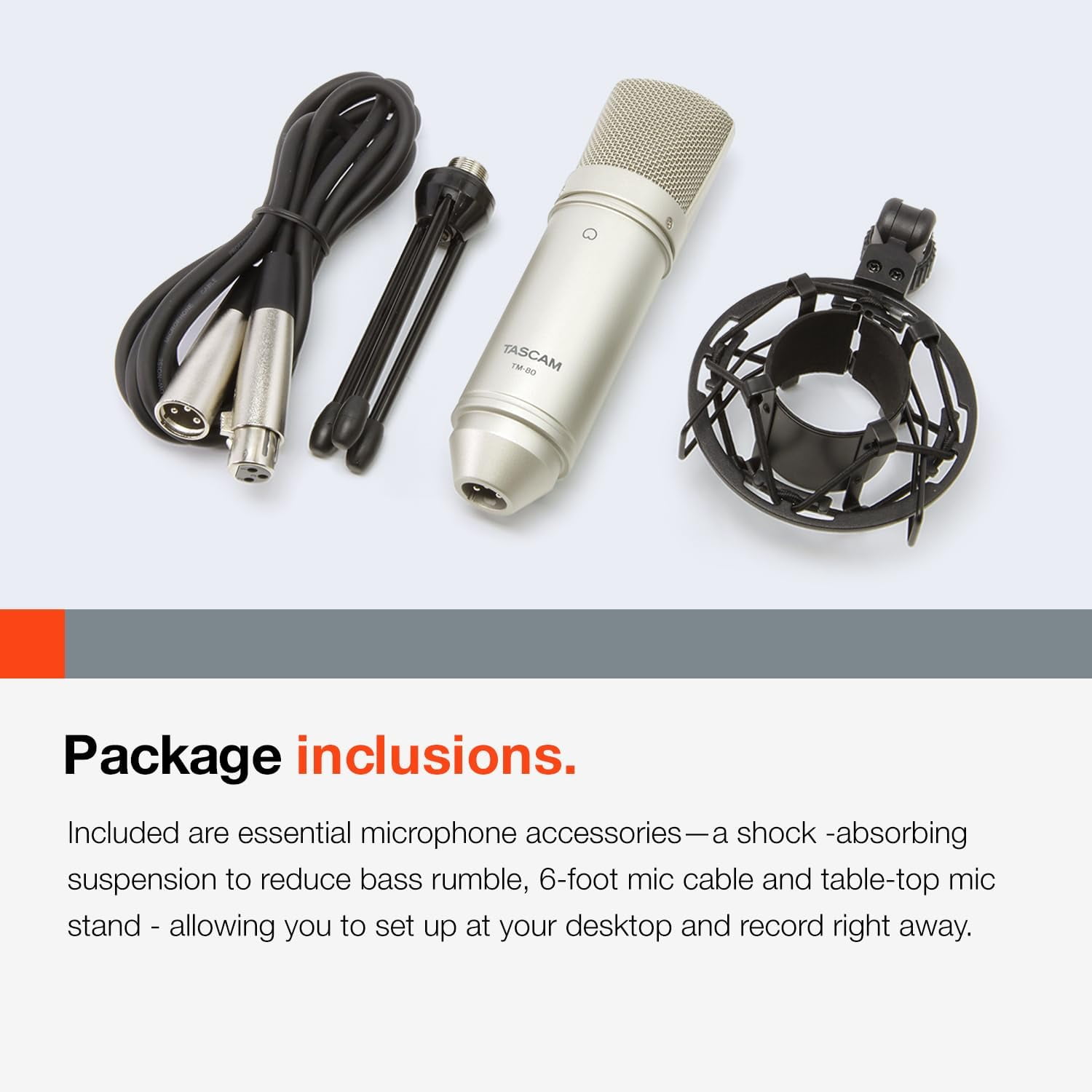 TM-80 Large Diaphragm Condenser Microphone Silver for Home Recording Streaming Singing