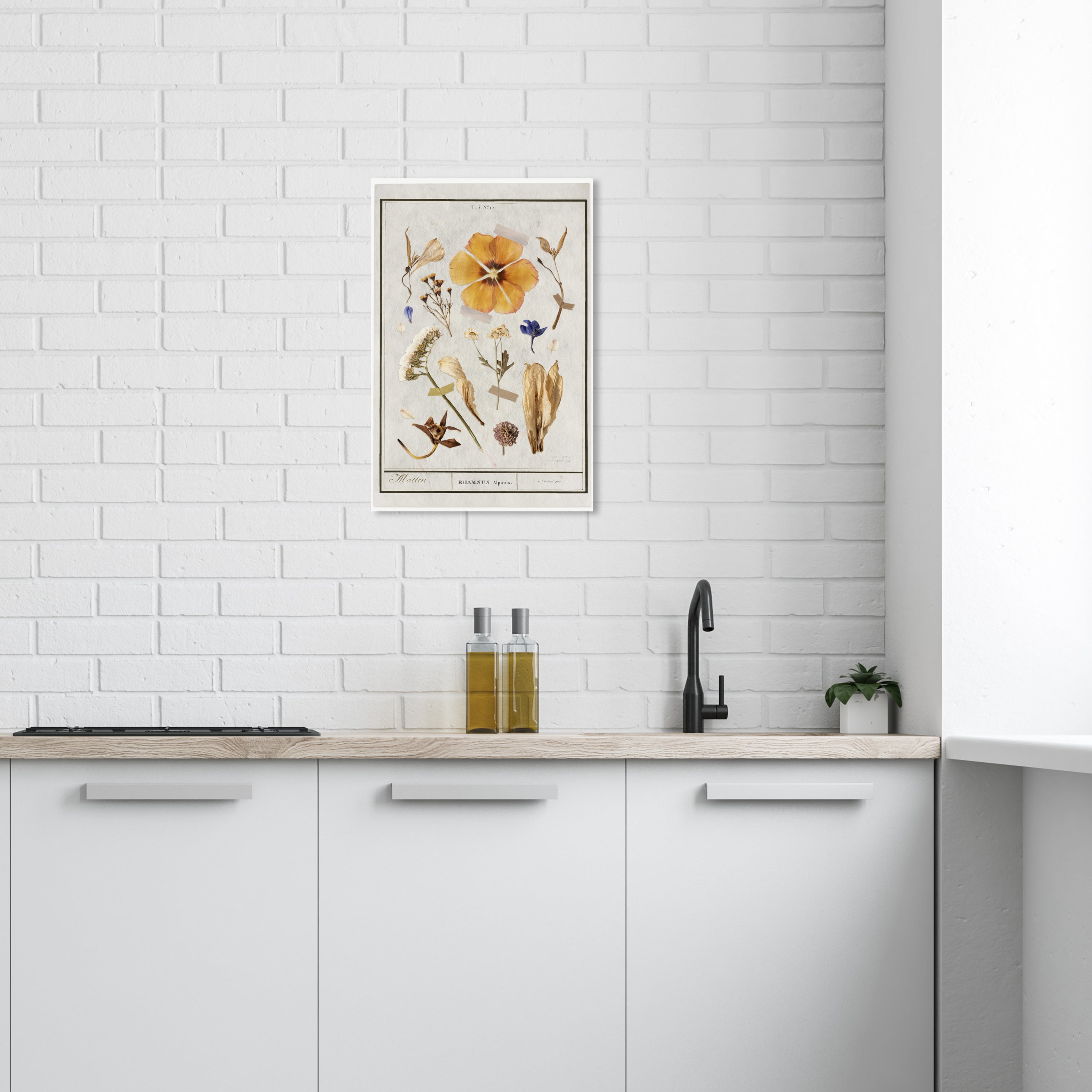 Botanical Study I Floral and Botanical Wall Art Print White 16x24