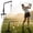 Red, variant on Golf Swing Trainer Aid – Adjustable Golf Practice Tool with Hanging Ball, Sturdy Ground Spike for Indoor/Outdoor Use, Improves Swing Tempo, Accuracy & Strength