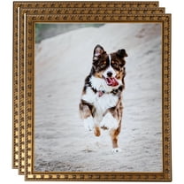 ArtToFrames 11" x 17" Gold with Star Picture Frame, 11x17 inch Gold Wood Poster Frame (WOM-4755), 3 Pack