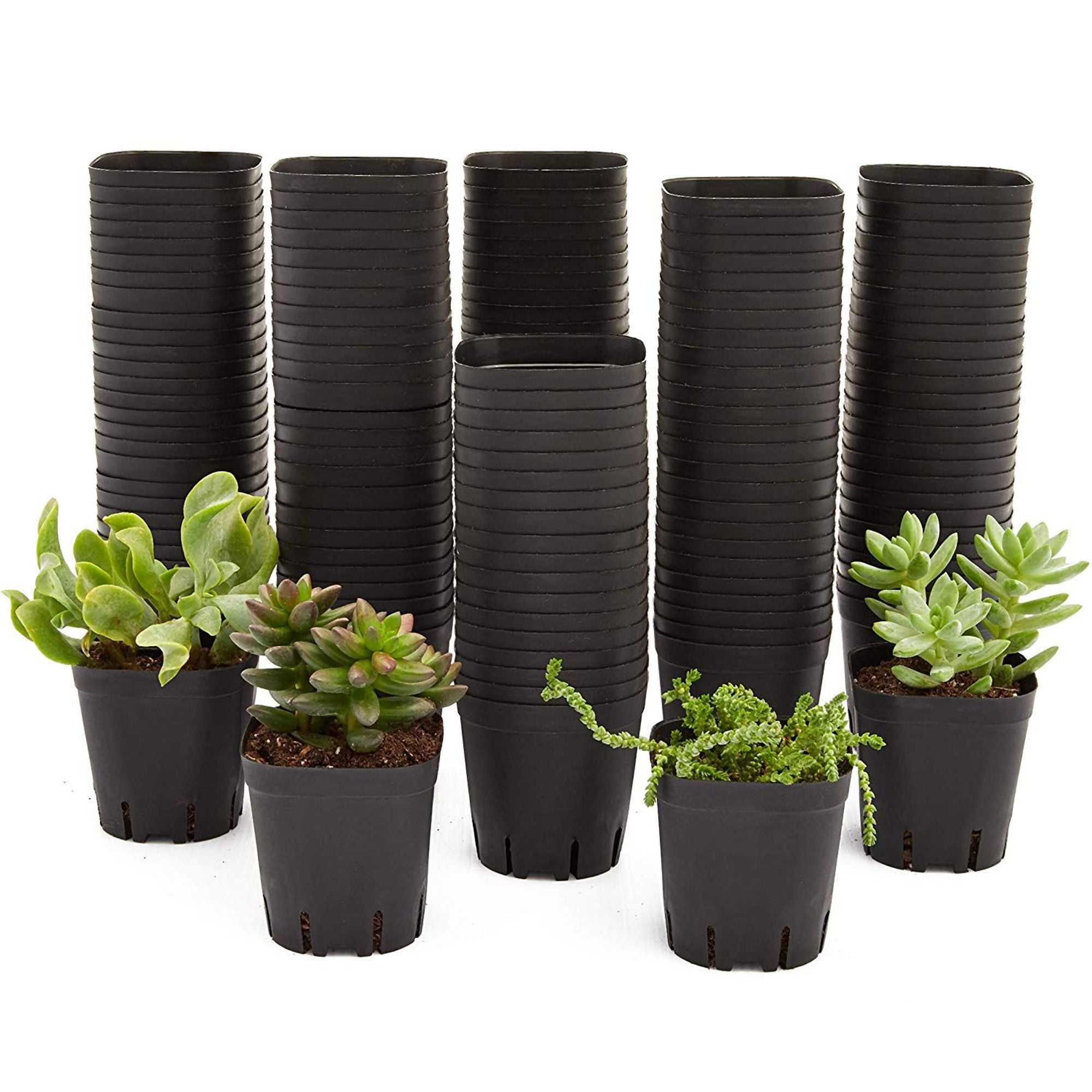 150 Pack Square Nursery Plastic Flower Pots Containers 2 6 Inch Black 