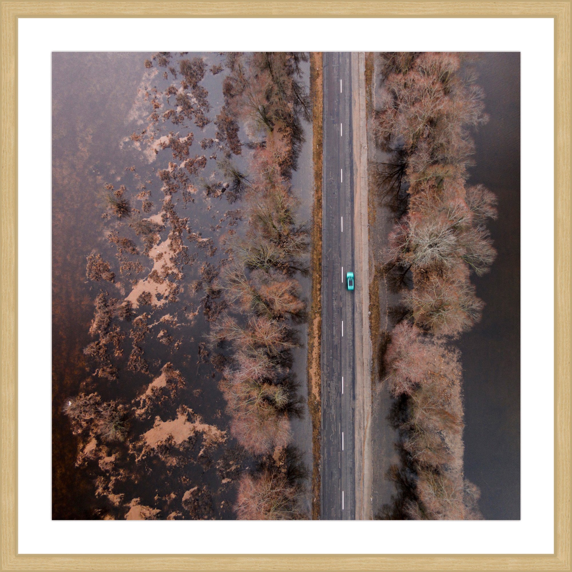 Marmont Hill "Lone Car" by Karolis Janulis Framed Painting Print