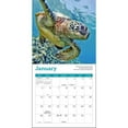 Ziga Media, Sea Turtles 2025 Mini Wall Calendar