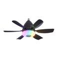 thumbnail image 1 of koolsoo Ceiling Fan Light with Remote Adjustable Speed Fan Light for Cafe Garage Bar black, 1 of 9