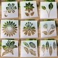 thumbnail image 3 of Lubelski 1 Set Painting Stencil Flower Pattern Multifunctional PET Paper Craft Painting Template for Wall Art, 3 of 3
