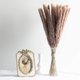thumbnail image 5 of WHITE LUXURY - Pampasgras klein als Trockenblumen EIN Hingucker - ewig haltbares Pampasgras getrocknet für Trockenblumen Deko - Pampasgras Deko & getrocknete Blumen - Trockenblumenstrauß Vase (Beige) Zhivalor OTTO-HR-0949, 5 of 6