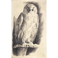 thumbnail image 2 of Frans Schwartz 10x14 Gold Ornate Wood Frame and Double Matted Museum Art Print Titled - Sample Plate; an Owl (1902 - 1903), 2 of 4