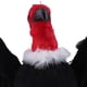 thumbnail image 4 of Feather Birds Craft Buitre Juguetes de Navidad Hogar Jardín Decoración de Acción de Gracias rojo, 4 of 9