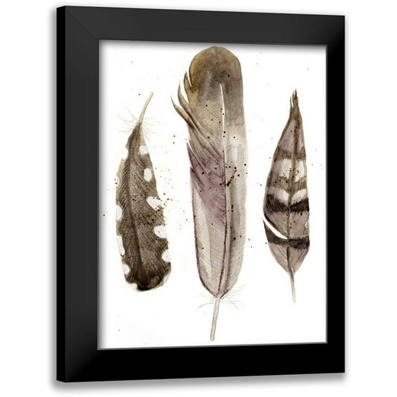 Ludwig, Alicia 12x14 Black Modern Framed Museum Art Print Titled - Earthtone Feathers II