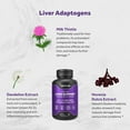 thumbnail image 6 of Naturalis Silymarin Milk Thistle 1300mg Enhanced with B Complex & Amino Acids | 13-in-1  | 60 Softgels, 6 of 6