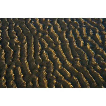 Jaclo Low Pattern - Low tide reveals patterns on the beach Cannon Beach Oregon United States of America Poster Print by Robert L Potts Design Pics