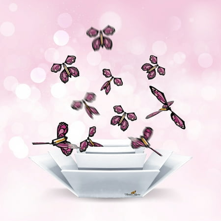 Gender Reveal FlutterBox