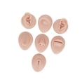 thumbnail image 4 of Milaget Silicone Body Piercing Model 3D Practice Skin for Training Beginners Stylist Universal Skin, 4 of 9