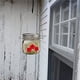 thumbnail image 5 of Greeniant Alimentador de pájaros, puertos de alimentación, tarro colgante, decoraciones de jardín, tamaño compacto, exquisitos accesorios de Juguetes para pájaros, 5 of 6