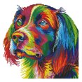 thumbnail image 1 of 14CT Rainbow Dog contó punto de cruz parcial DIY costura algodón hilo arte Hugtrwg Para estrenar, 1 of 1