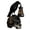 Black, variant on Crow Skull Lamp Gothic Raven Night Light Resin Figurine Decor Tabletop Ornament For Bedroom Shelf Party Decoration