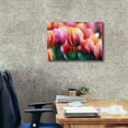 thumbnail image 3 of Epic Graffiti 'Big Love Tulips' by Clive Branson, Canvas Wall Art, 26"x18", 3 of 8
