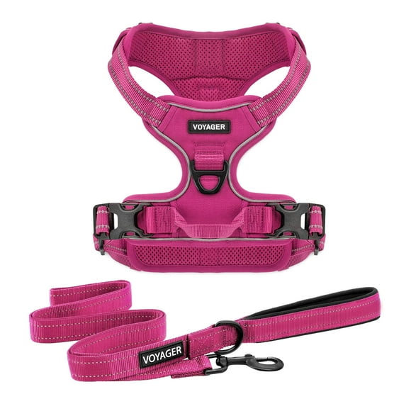 Voyager Dog Harness Dual Leash Attachment No-Pull Control Adjustable Soft but Strong Pet Harness for Medium and Large Dogs with 3M Reflective Technology - Harness Leash Set (Fuchsia), S