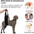 thumbnail image 2 of Correa para perros: soporte para patas traseras para perros grandes, para perros discapacitados, con asistencia para perros, 2 of 5