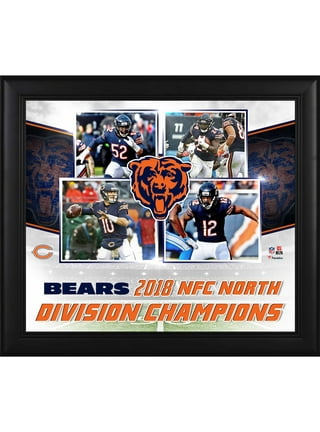 Bears Nfc North Hat