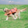 thumbnail image 4 of Chaleco salvavidas, abrigo de rescate para mascotas, ropa reflectante para perros al aire libre, traje de baño para mascotas, perro Wmkox8yii jkg2177, 4 of 9