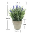 thumbnail image 2 of OHOIOLLA Planta De Lavanda Artificial En Maceta Azul Para De Hogar Y Oficina Con Material, 2 of 6