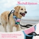 thumbnail image 5 of Arnés para perros Rabbitgoo sin tirones, ajustable en forma de S, rosa y azul, 5 of 7