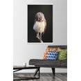 thumbnail image 2 of Curious Burrowing Owlet Wall Poster with Magnetic Frame, 22.375" x 34", 2 of 6