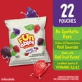 thumbnail image 5 of Funables Fruity Snacks, Mixed Berry Flavored Snacks, 0.8 oz, 22 Count, 5 of 12